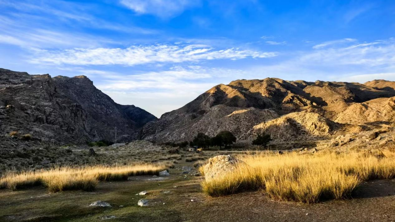 尊龙时凯 | 硕果累累，，，，矿产开发+工业水处理+智慧化运维齐头并进！！！